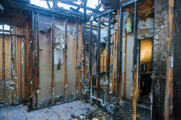 Professional Fire Damage Removal technician working in Trenton, FL