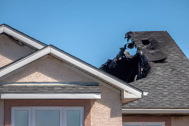 Top rated local Fire Damage Removal specialists in Trenton, FL